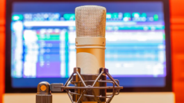 audio 1